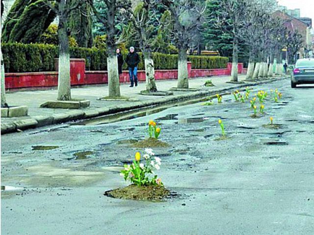 На Прикарпатті в ями на дорозі садять квіти (Фото)