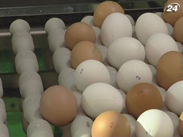 Яйца перед Пасхой подорожают на 20%, - эксперты