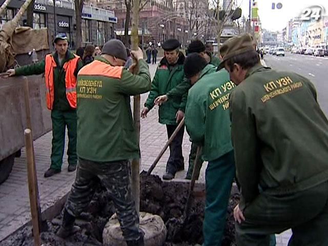 Толока у столиці: кияни поприбирають вулиці і побілять бордюри Толока у столиці: кияни поприбирають вулиці і побілять бордюри