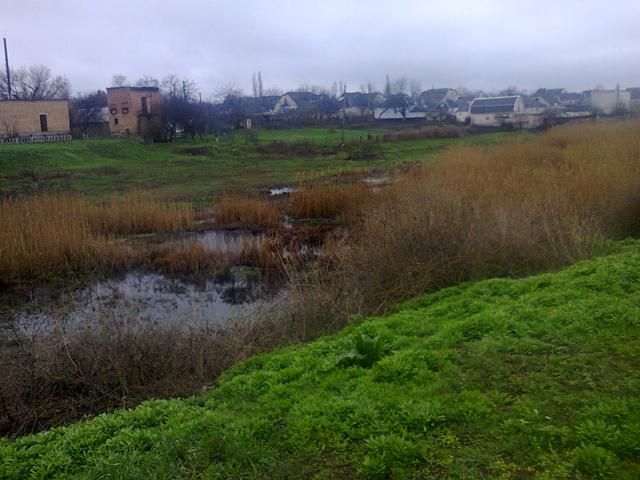 На Миколаївщині 86-річний чоловік застряг у болоті посеред вулиці На Миколаївщині 86-річний чоловік застряг у болоті посеред вулиці