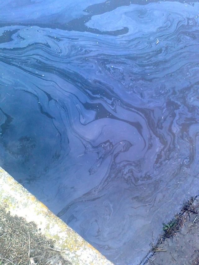 Масляное пятно не повлияет на качество воды, - "Киевводоканал" Масляное пятно не повлияет на качество воды, - "Киевводоканал"