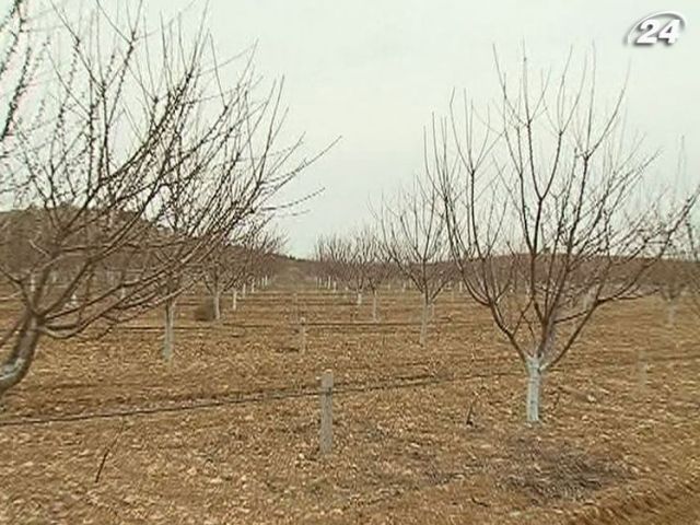 Сільських голів навчатимуть, як створювати кооперативи Сільських голів навчатимуть, як створювати кооперативи