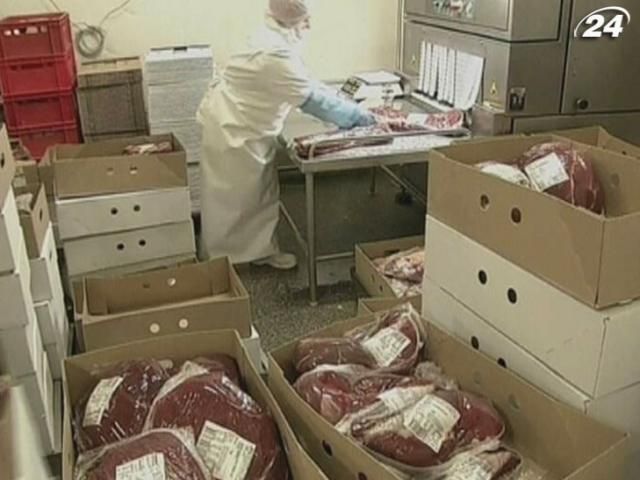 У 5% європейської яловичини є конина, - дослідження У 5% європейської яловичини є конина, - дослідження