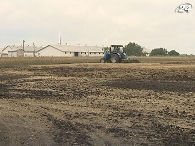 Фермеры хотят арендовать землю на срок от 10 до 49 лет