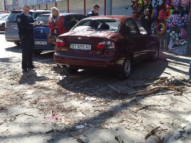 У Херсоні дерево впало на авто: 2 людини поранені (Фото. Відео)