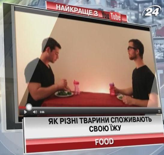 Як різні тварини споживають їжу (Відео)