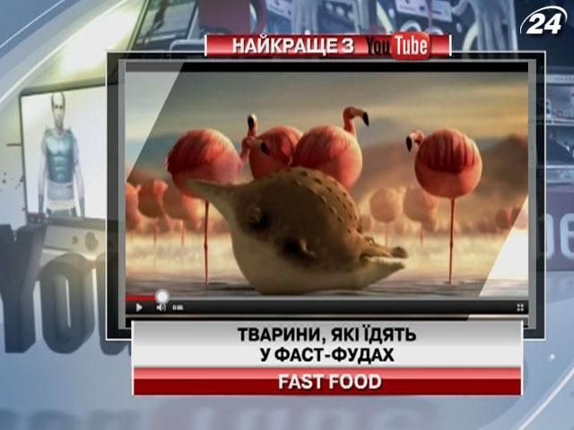 Відео про те, що відбувається з тваринами, які їдять фаст-фуд
