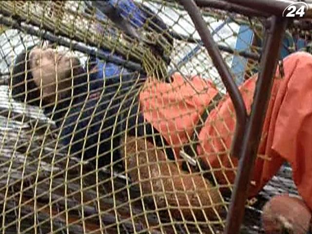 Відчайдушна боротьба людини з морем - все заради крабів – це “Пекельна робота”