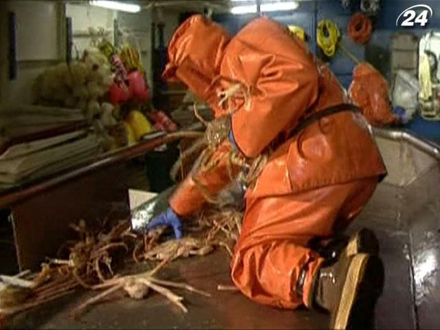 Краболовы - отчаянные охотники за морскими деликатесами Краболовы - отчаянные охотники за морскими деликатесами