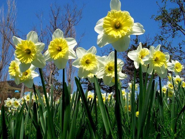 Сьогодні в Україні до +24 Сьогодні в Україні до +24