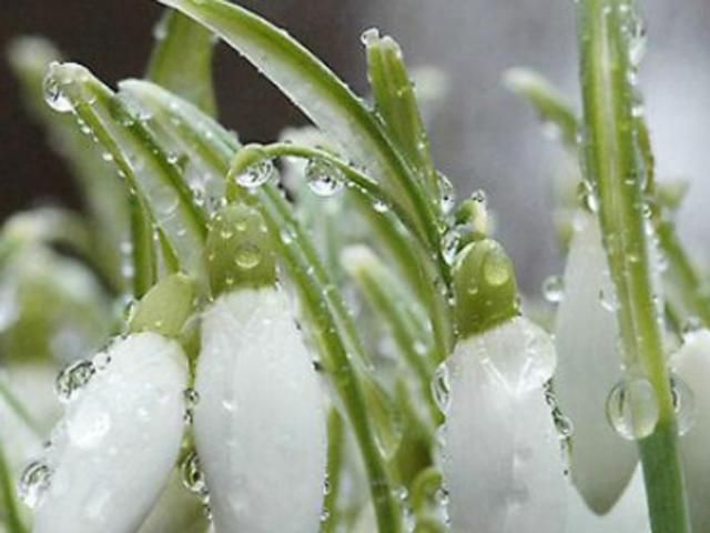 Сегодня в Украине теплая погода, местами дожди Сегодня в Украине теплая погода, местами дожди