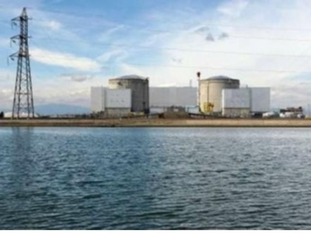 Охолодження "Фукусіми" припинили через мертвих щурів Охолодження "Фукусіми" припинили через мертвих щурів