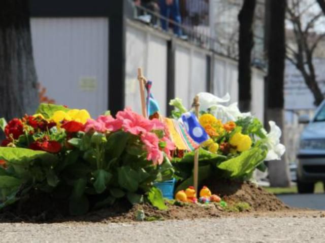 Київські ями на дорогах засадили квітами (Фото. Відео) Київські ями на дорогах засадили квітами (Фото. Відео)