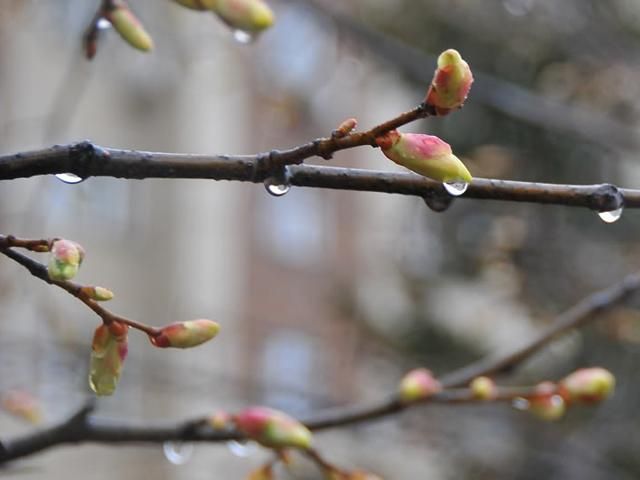 Сегодня в Украине возможны дожди Сегодня в Украине возможны дожди