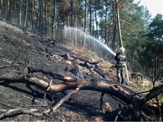 На Тернопільщині горів Національний природній парк (Фото. Відео) На Тернопільщині горів Національний природній парк (Фото. Відео)