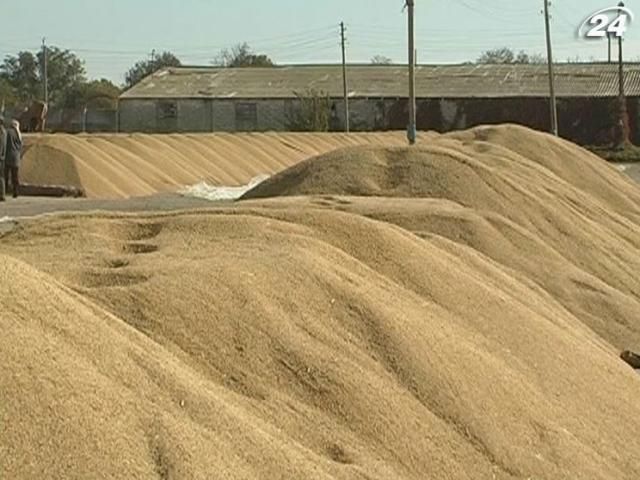 Зернотрейдеры до конца года экспортируют лишь 200 тыс. тонн пшеницы