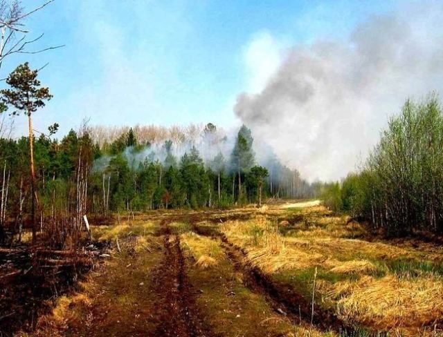 Найближчими днями в Україні збільшиться небезпека виникнення пожеж 