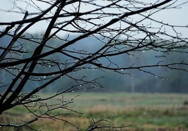 В Украину придет кратковременное похолодание с дождями В Украину придет кратковременное похолодание с дождями