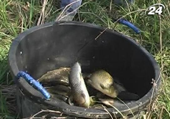 На Закарпатье с помощью рыбы чистят водоемы