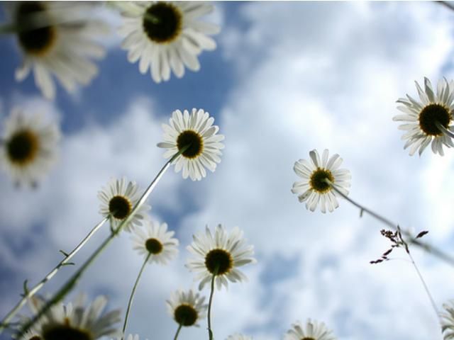 Сегодня в Украине жара и грозы Сегодня в Украине жара и грозы