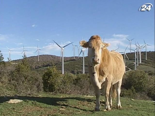 У ЄС зростає споживання "зеленої" енергії У ЄС зростає споживання "зеленої" енергії