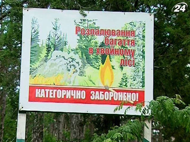Леса Крыма закрыли для отдыхающих