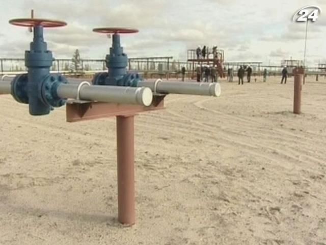 Україна отримуватиме газ з Європи через Словаччину, - Ставицький Україна отримуватиме газ з Європи через Словаччину, - Ставицький