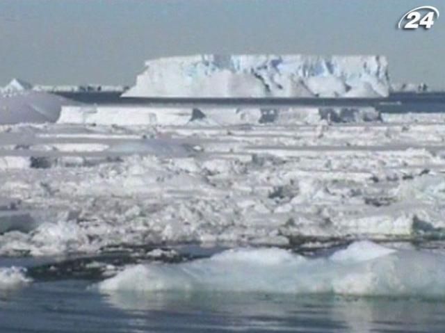 В Антарктике существуют живые организмы, которых не видело человечество (Видео) В Антарктике существуют живые организмы, которых не видело человечество (Видео)