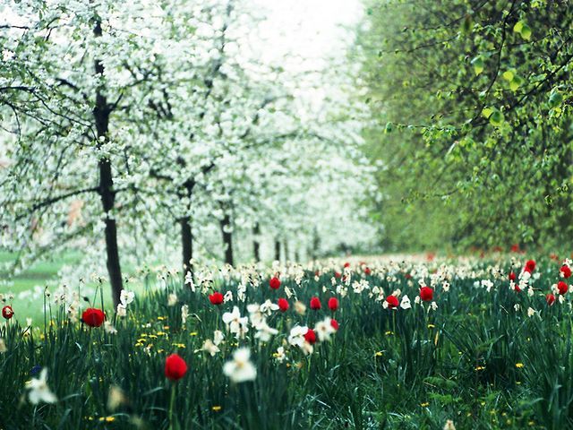 Сьогодні та завтра в Україні тепло і сухо Сьогодні та завтра в Україні тепло і сухо