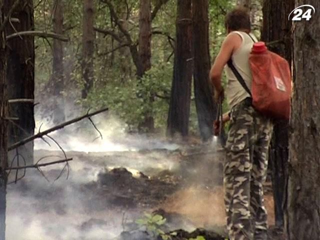 На сході, центрі та півдні України - пожежна небезпека найвищого рівня