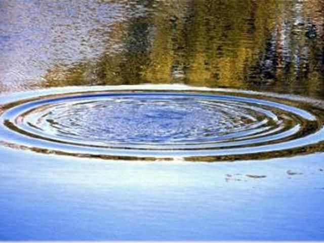 На Івано-Франківщині втопився 3-річний хлопчик На Івано-Франківщині втопився 3-річний хлопчик