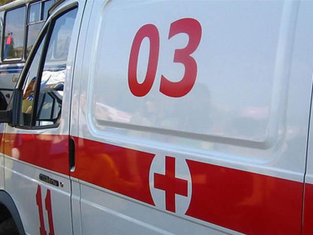 На Прикарпатье змея укусила мужчину на его же дворе На Прикарпатье змея укусила мужчину на его же дворе