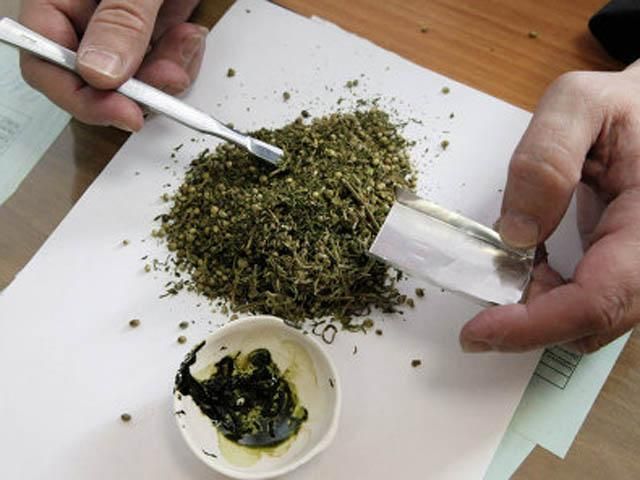 В Грузии планируют разрешить употребление марихуаны
