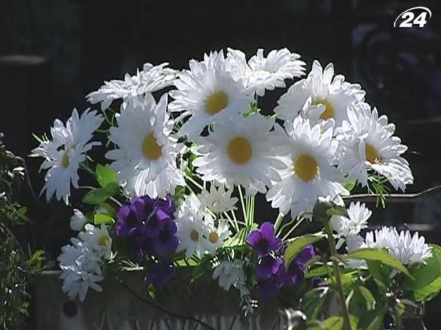 В УГКЦ закликають у поминальні дні не нести на цвинтарі штучних квітів В УГКЦ закликають у поминальні дні не нести на цвинтарі штучних квітів