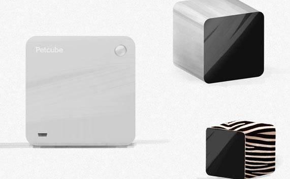 Украинский стартап признан одним из 20 лучших в Европе Украинский стартап признан одним из 20 лучших в Европе