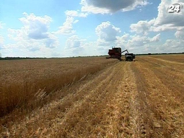 Американці прогнозують, що експорт зерна з України сягне 28 млн тонн