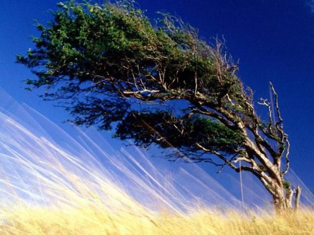 В Україні сьогодні грози і пориви вітру В Україні сьогодні грози і пориви вітру