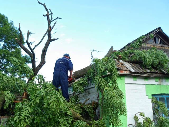 В Черкасской области дерево упало на дом (Фото)