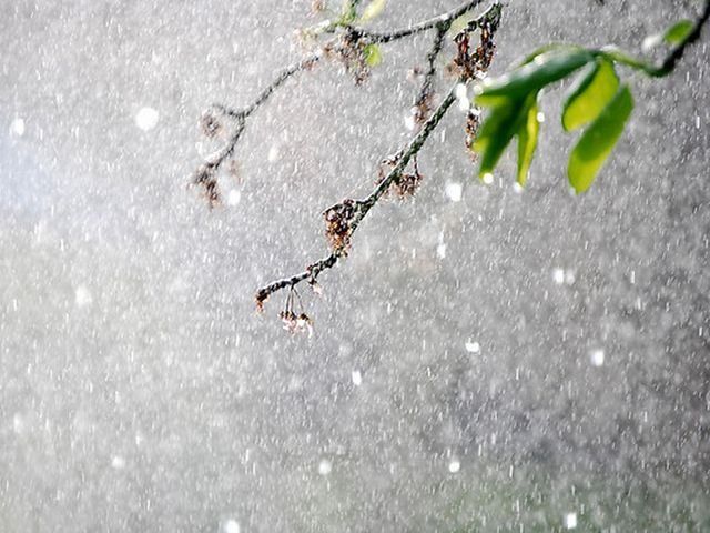 В Україні сьогодні дощі та грози В Україні сьогодні дощі та грози