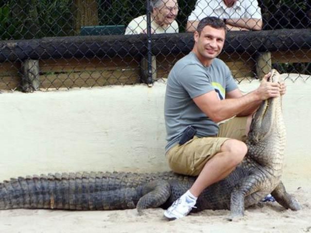 Исследование: Кличко и Янукович набирают одинаковое количество голосов на выборах Исследование: Кличко и Янукович набирают одинаковое количество голосов на выборах