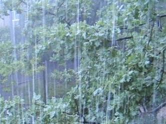 Завтра в Україні штормове попередження - 23 травня 2013 - Телеканал новин 24 Завтра в Україні штормове попередження - 23 травня 2013 - Телеканал новин 24