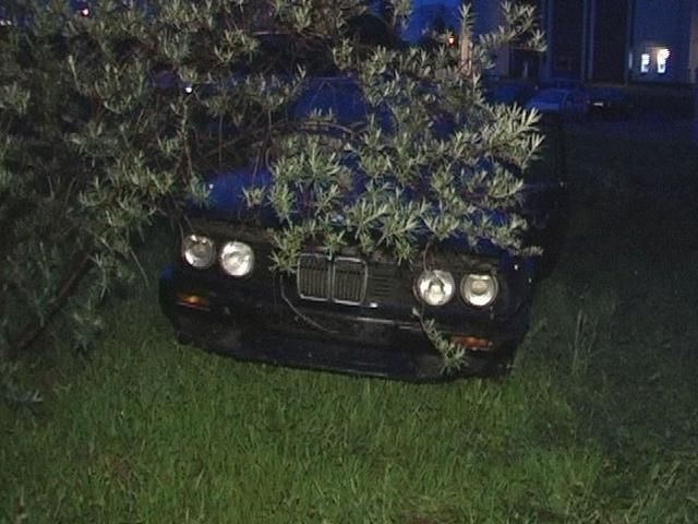 У Києві BMW влетів у кущі (Фото) У Києві BMW влетів у кущі (Фото)