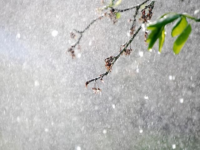 Сьогодні в Україні дощитиме - 26 травня 2013 - Телеканал новин 24 Сьогодні в Україні дощитиме - 26 травня 2013 - Телеканал новин 24