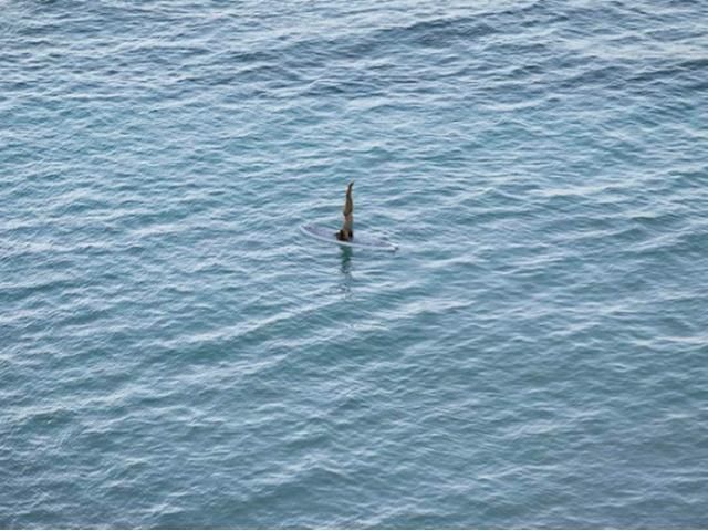 Подглядывание фотографа: кадры с пляжа на Гавайских островах (Фото) Подглядывание фотографа: кадры с пляжа на Гавайских островах (Фото)