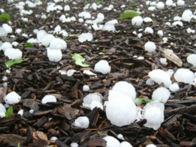 Завтра возможны дожди с градом Завтра возможны дожди с градом