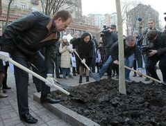 Попов обещает наказать виновных в "каштановом скандале"