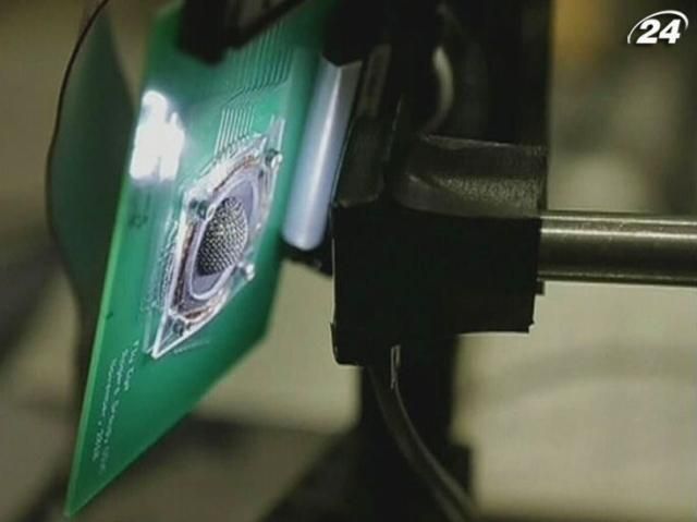 Вскоре люди смогут увидеть мир глазами насекомых (Видео) Вскоре люди смогут увидеть мир глазами насекомых (Видео)