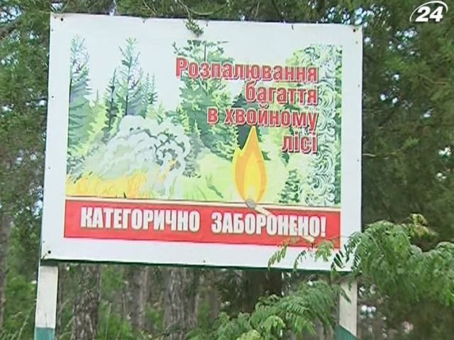 Самый высокий уровень пожарной опасности - на юге Украины, - Гидрометцентр Самый высокий уровень пожарной опасности - на юге Украины, - Гидрометцентр