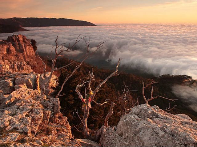 Вікіпедія відібрала 12 найкращих фото України 