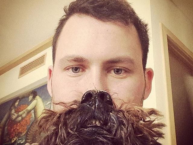 В інтернеті нова мода: бороди з собак (Фото)
